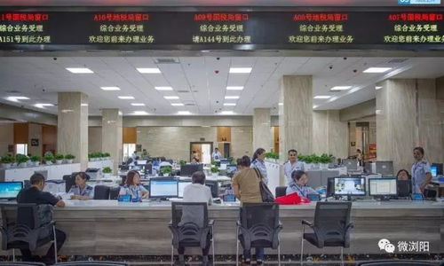 浏阳政务服务改革再发力 十大任务让个人互联网服务更便捷